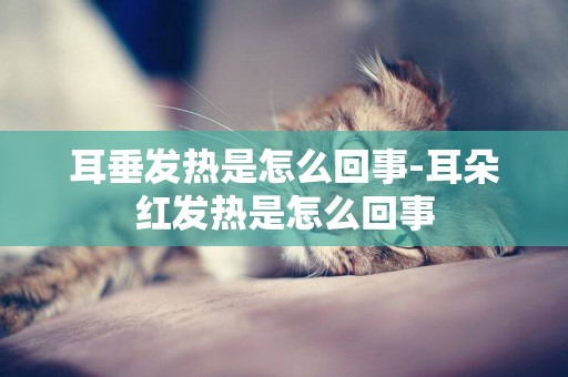 耳垂發熱是怎么回事-耳朵紅發熱是怎么回事