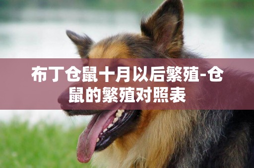 布丁倉鼠十月以后繁殖-倉鼠的繁殖對照表