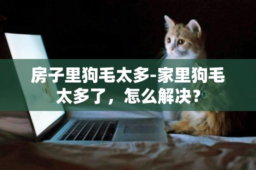 房子里狗毛太多-家里狗毛太多了，怎么解決？