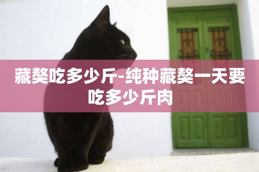 藏獒吃多少斤-純種藏獒一天要吃多少斤肉
