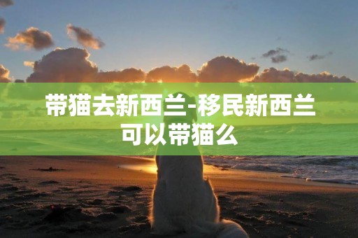 帶貓去新西蘭-移民新西蘭可以帶貓么