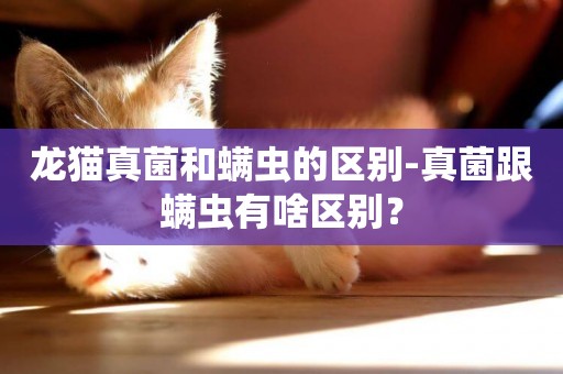 龍貓真菌和螨蟲的區別-真菌跟螨蟲有啥區別？