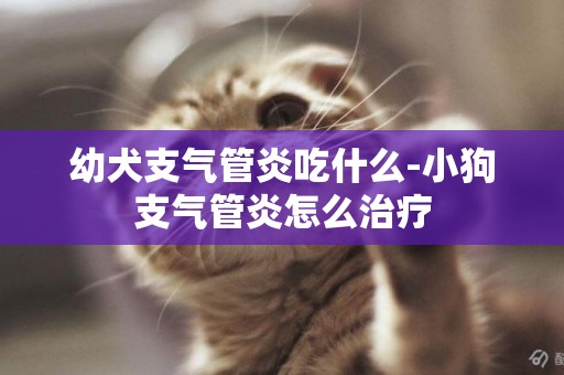 幼犬支氣管炎吃什么-小狗支氣管炎怎么治療