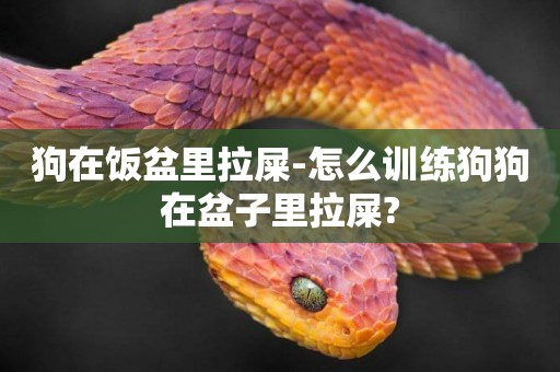 狗在飯盆里拉屎-怎么訓練狗狗在盆子里拉屎?