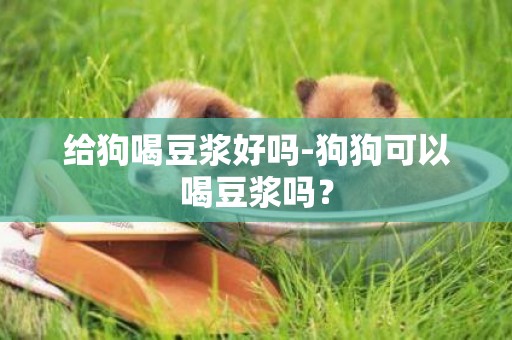 給狗喝豆漿好嗎-狗狗可以喝豆漿嗎？