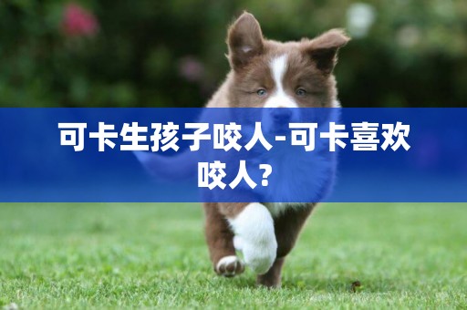 可卡生孩子咬人-可卡喜歡咬人?