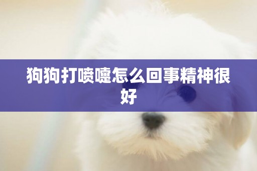 狗狗打噴嚏怎么回事精神很好