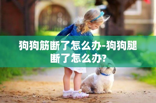 狗狗筋斷了怎么辦-狗狗腿斷了怎么辦?