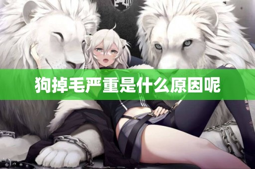 狗掉毛嚴重是什么原因呢
