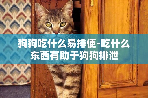 狗狗吃什么易排便-吃什么東西有助于狗狗排泄