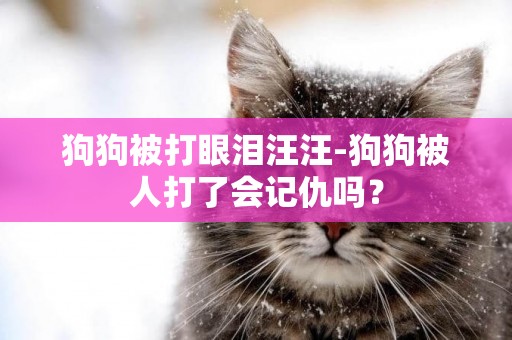 狗狗被打眼淚汪汪-狗狗被人打了會記仇嗎？