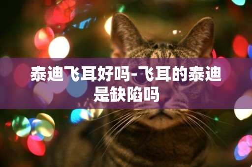 泰迪飛耳好嗎-飛耳的泰迪是缺陷嗎