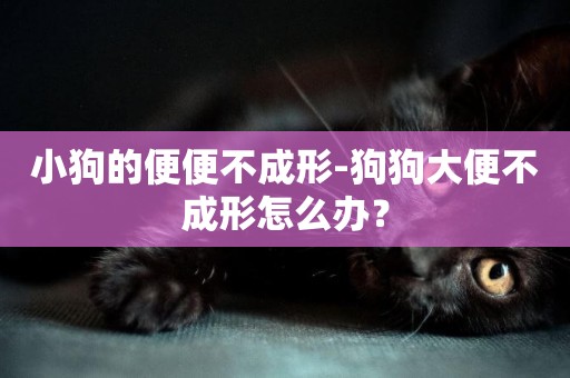小狗的便便不成形-狗狗大便不成形怎么辦？