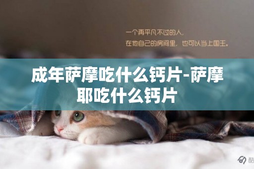 成年薩摩吃什么鈣片-薩摩耶吃什么鈣片