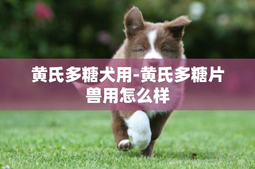 黃氏多糖犬用-黃氏多糖片獸用怎么樣