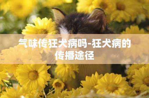 氣味傳狂犬病嗎-狂犬病的傳播途徑