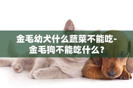 金毛幼犬什么蔬菜不能吃-金毛狗不能吃什么？