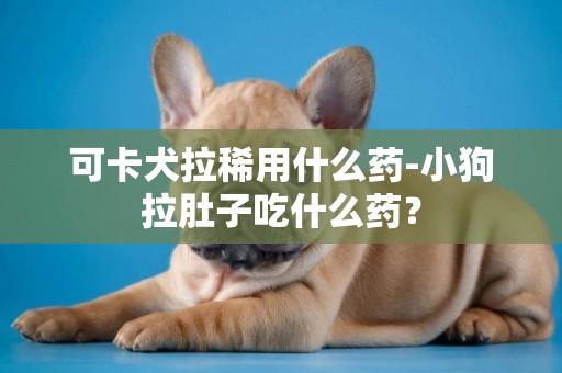 可卡犬拉稀用什么藥-小狗拉肚子吃什么藥？