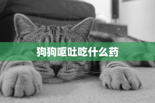 狗狗嘔吐吃什么藥