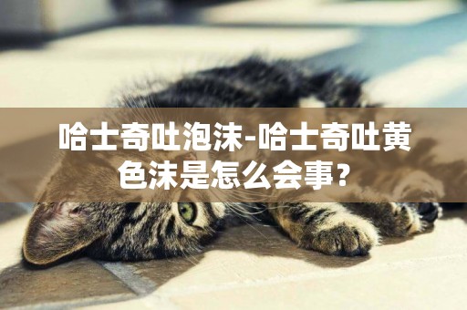 哈士奇吐泡沫-哈士奇吐黃色沫是怎么會事？