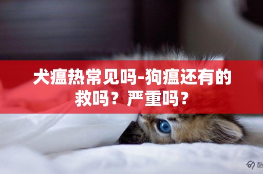 犬瘟熱常見嗎-狗瘟還有的救嗎？嚴重嗎？