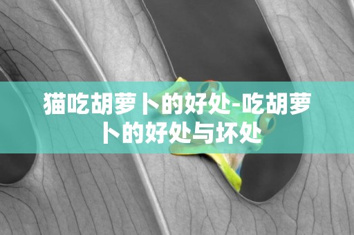 貓吃胡蘿卜的好處-吃胡蘿卜的好處與壞處