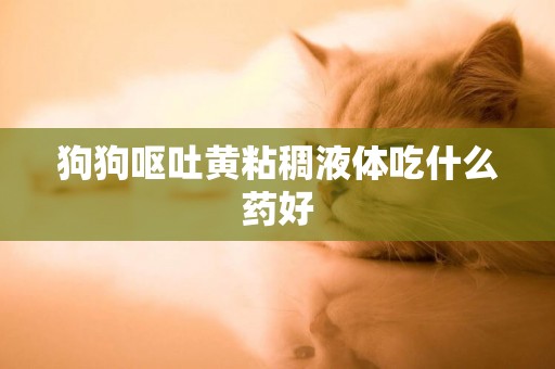 狗狗嘔吐黃粘稠液體吃什么藥好