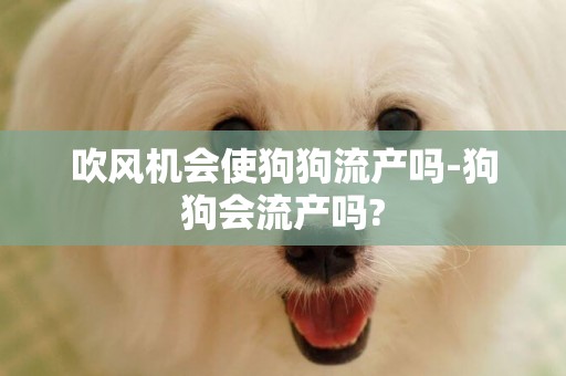 吹風機會使狗狗流產嗎-狗狗會流產嗎?