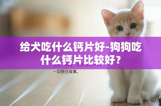 給犬吃什么鈣片好-狗狗吃什么鈣片比較好？