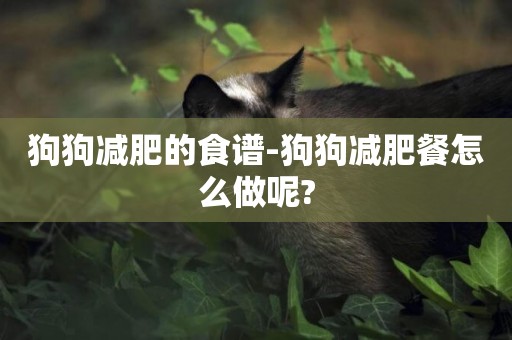 狗狗減肥的食譜-狗狗減肥餐怎么做呢?