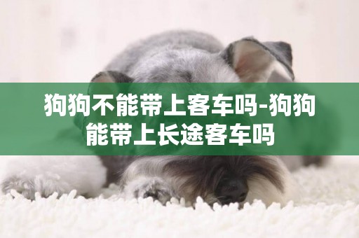 狗狗不能帶上客車嗎-狗狗能帶上長途客車嗎