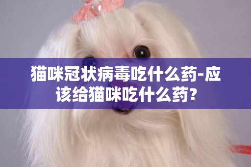 貓咪冠狀病毒吃什么藥-應該給貓咪吃什么藥？
