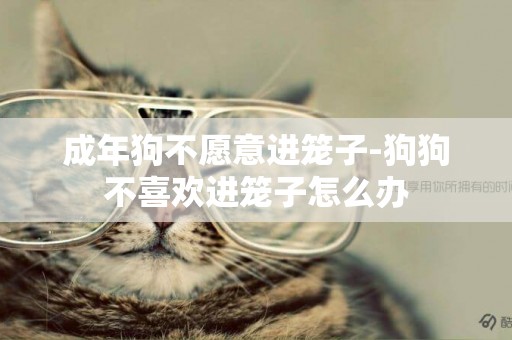 成年狗不愿意進籠子-狗狗不喜歡進籠子怎么辦