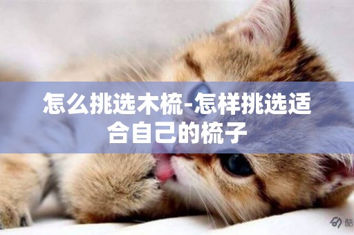 怎么挑選木梳-怎樣挑選適合自己的梳子