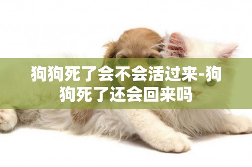 狗狗死了會不會活過來-狗狗死了還會回來嗎