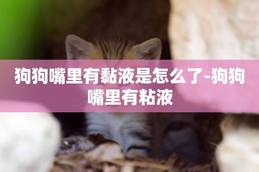 狗狗嘴里有黏液是怎么了-狗狗嘴里有粘液