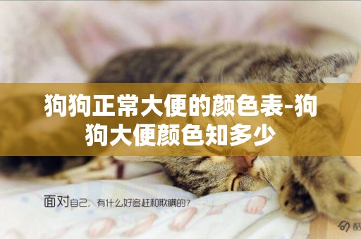 狗狗正常大便的顏色表-狗狗大便顏色知多少