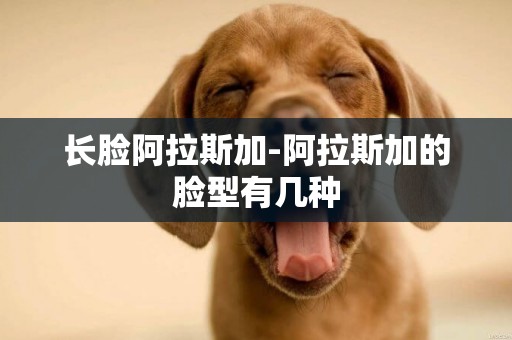 長臉阿拉斯加-阿拉斯加的臉型有幾種