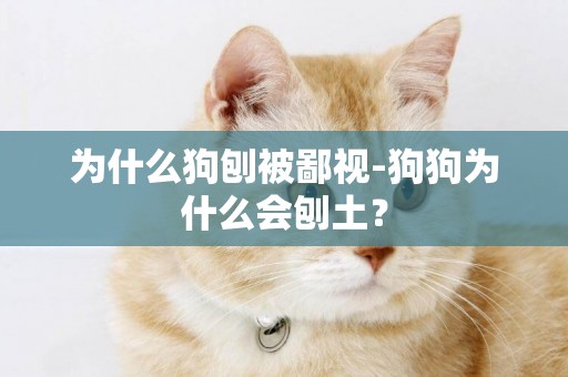 為什么狗刨被鄙視-狗狗為什么會刨土？