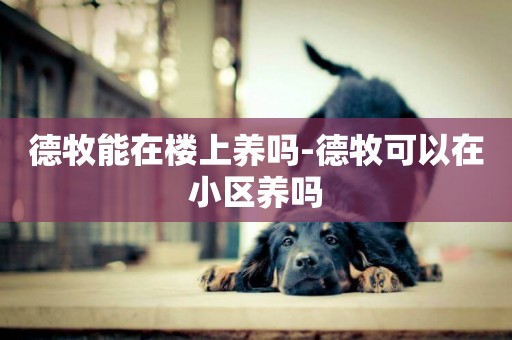德牧能在樓上養嗎-德牧可以在小區養嗎
