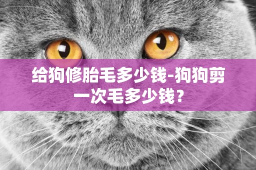 給狗修胎毛多少錢-狗狗剪一次毛多少錢？