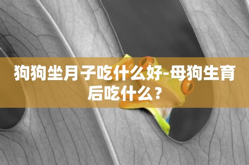 狗狗坐月子吃什么好-母狗生育后吃什么？