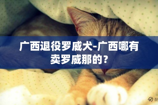 廣西退役羅威犬-廣西哪有賣羅威那的？