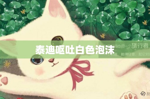 泰迪嘔吐白色泡沫