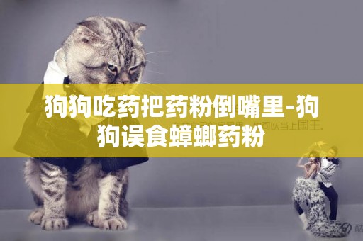 狗狗吃藥把藥粉倒嘴里-狗狗誤食蟑螂藥粉