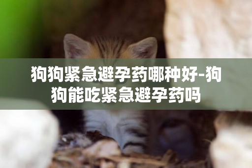 狗狗緊急避孕藥哪種好-狗狗能吃緊急避孕藥嗎