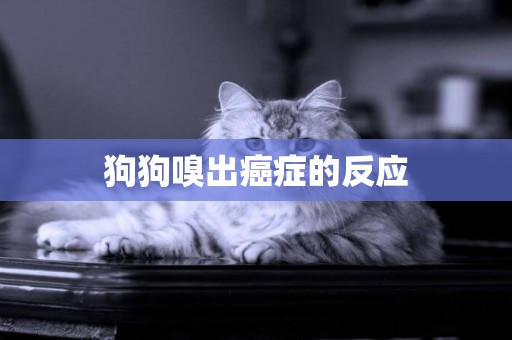狗狗嗅出癌癥的反應