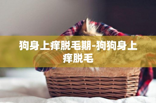 狗身上癢脫毛期-狗狗身上癢脫毛