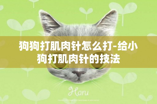 狗狗打肌肉針怎么打-給小狗打肌肉針的技法