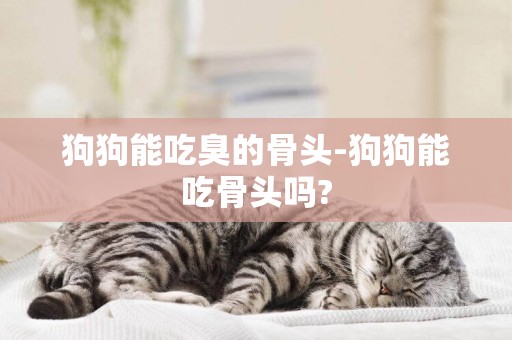 狗狗能吃臭的骨頭-狗狗能吃骨頭嗎?